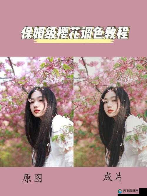 一级调色二级调色三级调色054 宣布加入野草资源:全新资源整合启动