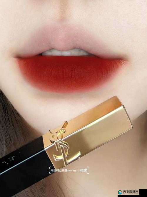 YSL 千人千色 T9T9T9T9T9 资源失效了：大家别再找了