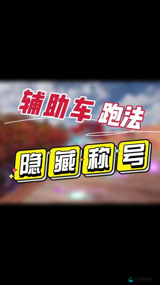人车合一，王牌竞速B级驾照的挑战与技巧