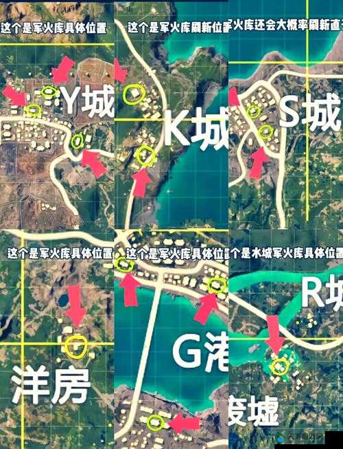 和平精英滑板小狐售价揭秘，性价比之选还是颜值平平？