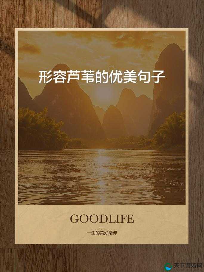 老狼老狼芦苇芭蕉的诗意之境与自然感悟