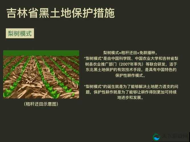 开垦母亲肥沃的土地教案:探索土地开垦与母性关联的教学指南