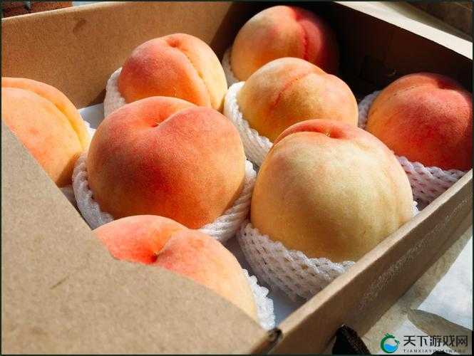 ×7×7×7×7 水蜜桃：美味多汁令人陶醉的水果佳品