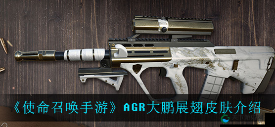 使命召唤手游AGR大鹏展翅，一款双形态武器的独特魅力