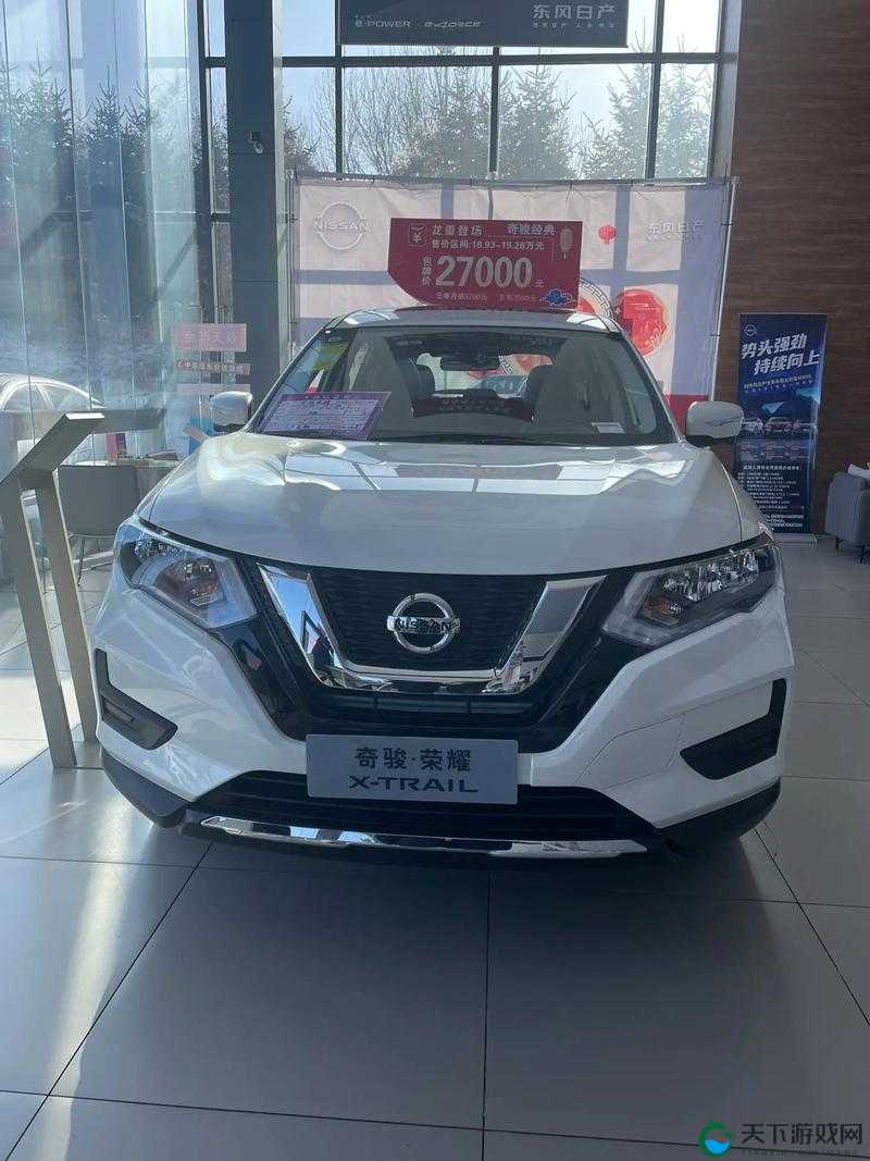 亚洲欧洲第一的日产 SUV:其卓越性能与独特魅力解析