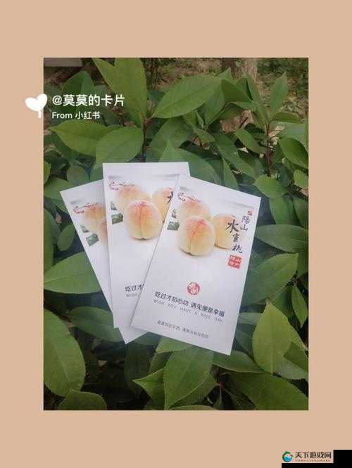 水蜜桃一卡 2 卡 3 卡 4 卡：关于水蜜桃各种卡的详细介绍