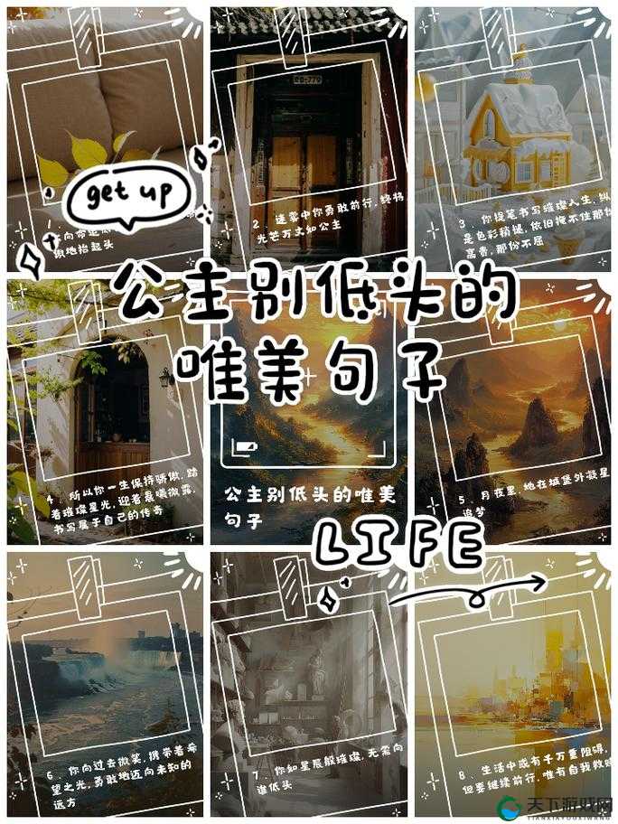 群臣共享的小公主银羽:一段传奇宫廷中的璀璨人生