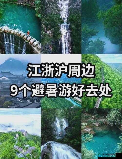 伊春园 2023 入口直达:带你领略奇妙的园区之旅