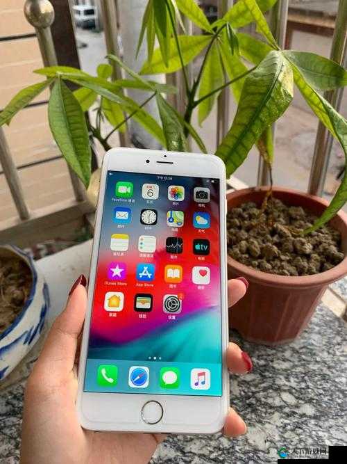 HD2 中国成熟 iPhone69 引领手机新潮流