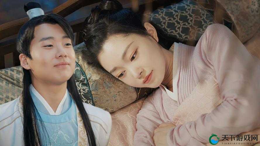 星空无限传媒在线观看电视剧赘婿：宁毅苏檀儿携手玩转武朝
