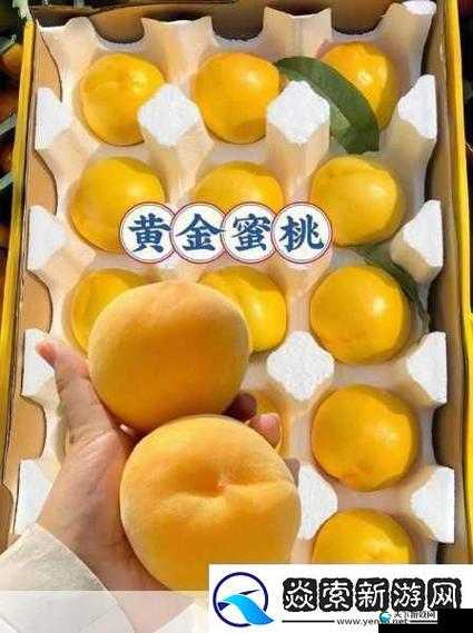 探索 91 精产国品:揭秘行业内幕,探寻优质产品