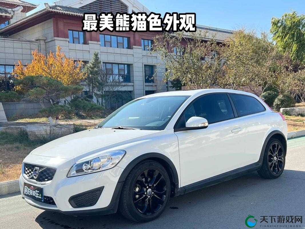 VolvoC30 价格:探究其背后的影响因素及市场表现