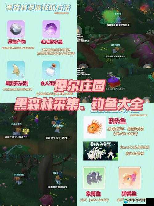 摩尔庄园手游蝳刺花尖刺,获取秘籍大公开