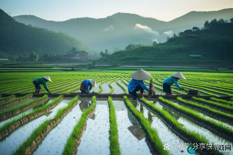 在妈妈肥沃土地上辛勤耕种收获美好未来