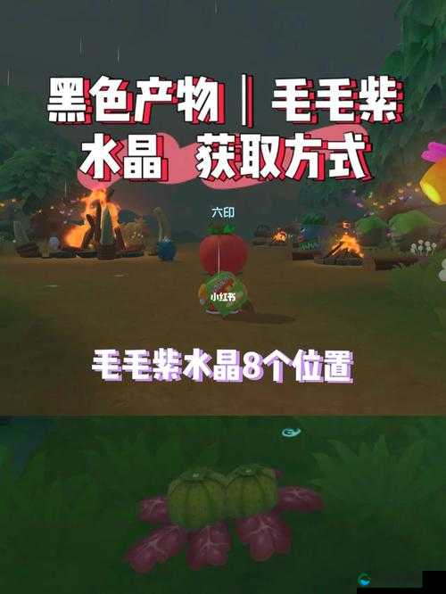 摩尔庄园手游毛毛紫水晶获得攻略