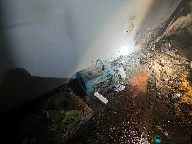 厨房间墙内传来噼里啪啦神秘异响,这声音究竟从何而来?