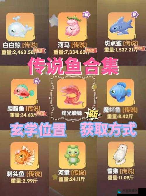 摩尔庄园手游中的弹簧鱼,钓鱼技巧与乐趣探索