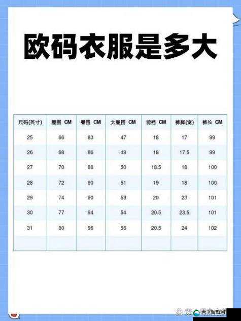 欧洲尺码 EU44N:适合多种场合的经典尺码选择