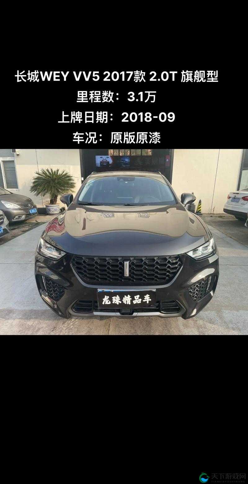 weyvv5 国产的 suv 不再限制观看,尽享视觉盛宴