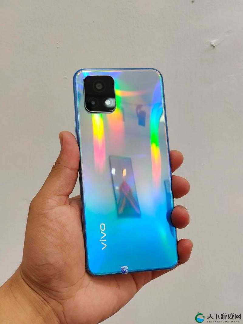 成色不凡的 y31:一款极具魅力与特色的手机