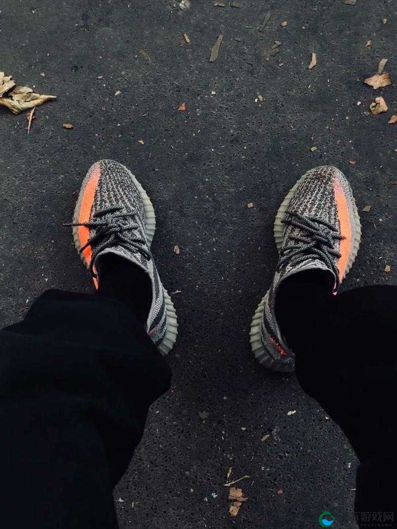 YEEZY 蜜桃满天星价格 3500 元:探究其市场价值与流行趋势