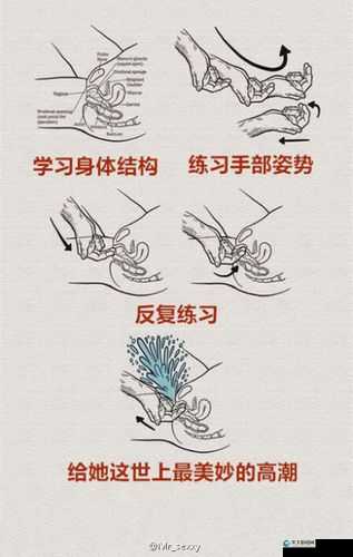 强烈探讨:九浅一深与左三右三的搭配奥秘
