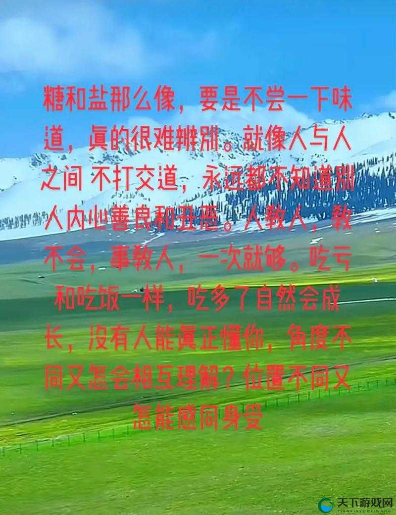 究竟是真是假这一问题引发的深入思考与探讨