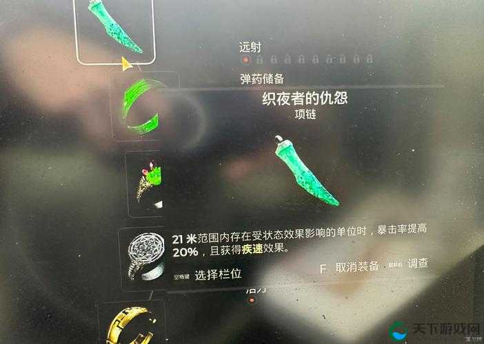 遗迹 2 织夜者的仇怨项链怎么获取:揭秘获取方法