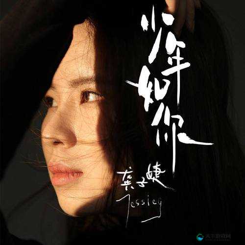 插曲视频在线观看免费版高清引发关注热度:免费畅享高清视觉盛宴