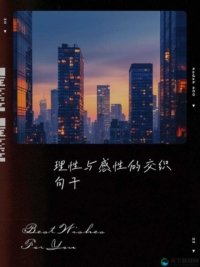 沈先生的花式婚后生活:幸福甜蜜与温馨浪漫交织的日子
