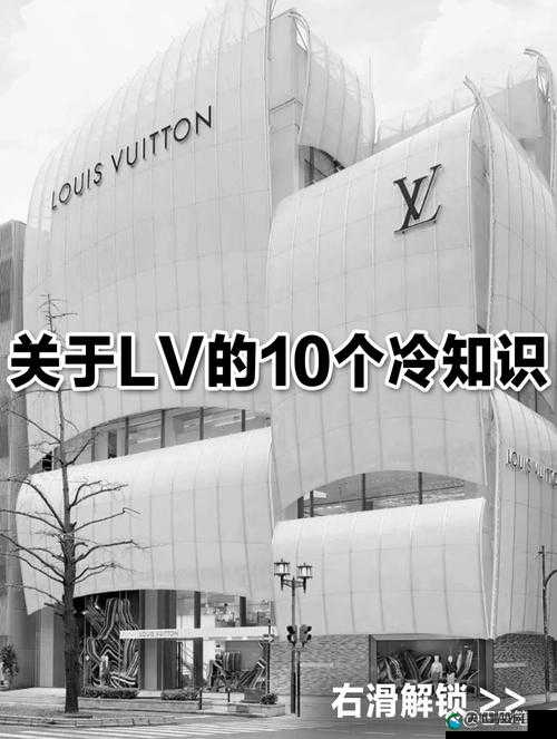 完全占有 1LVLH:关于其意义与影响的深入探讨