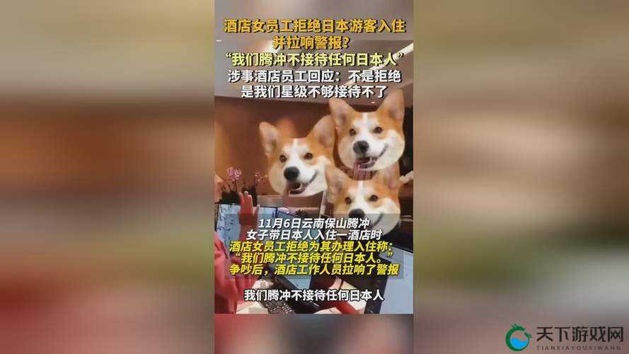 仙踪林老狼网站:探索自然之美,领略生命奥秘