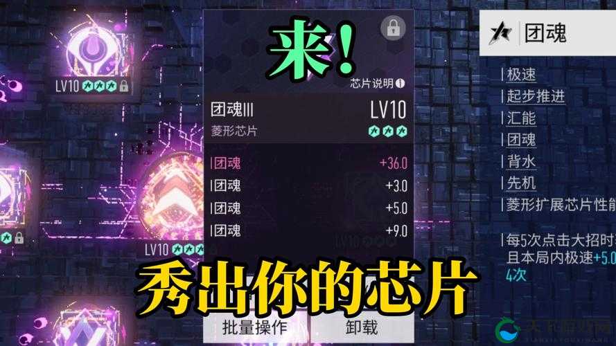 王牌竞速新手芯片选择攻略,资源管理的艺术
