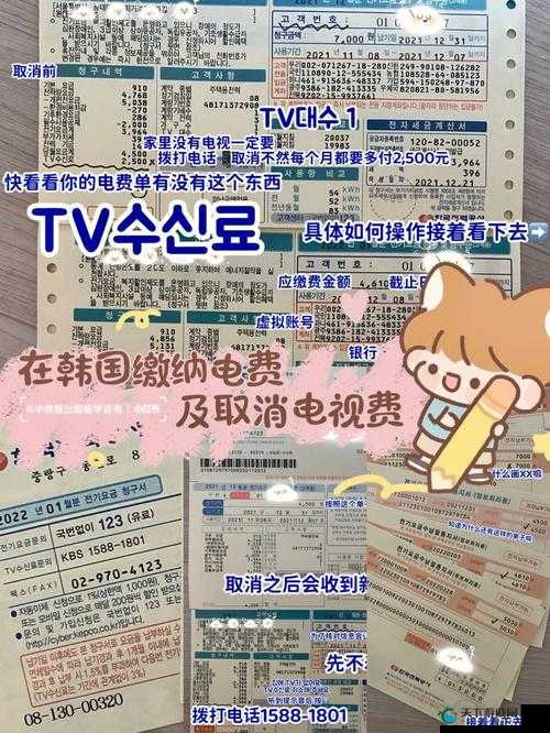 韩国三色电费免费吗:探究其背后的政策与影响