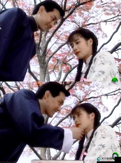 男女之间的梅花三弄:一段情牵梦绕的爱恋传奇