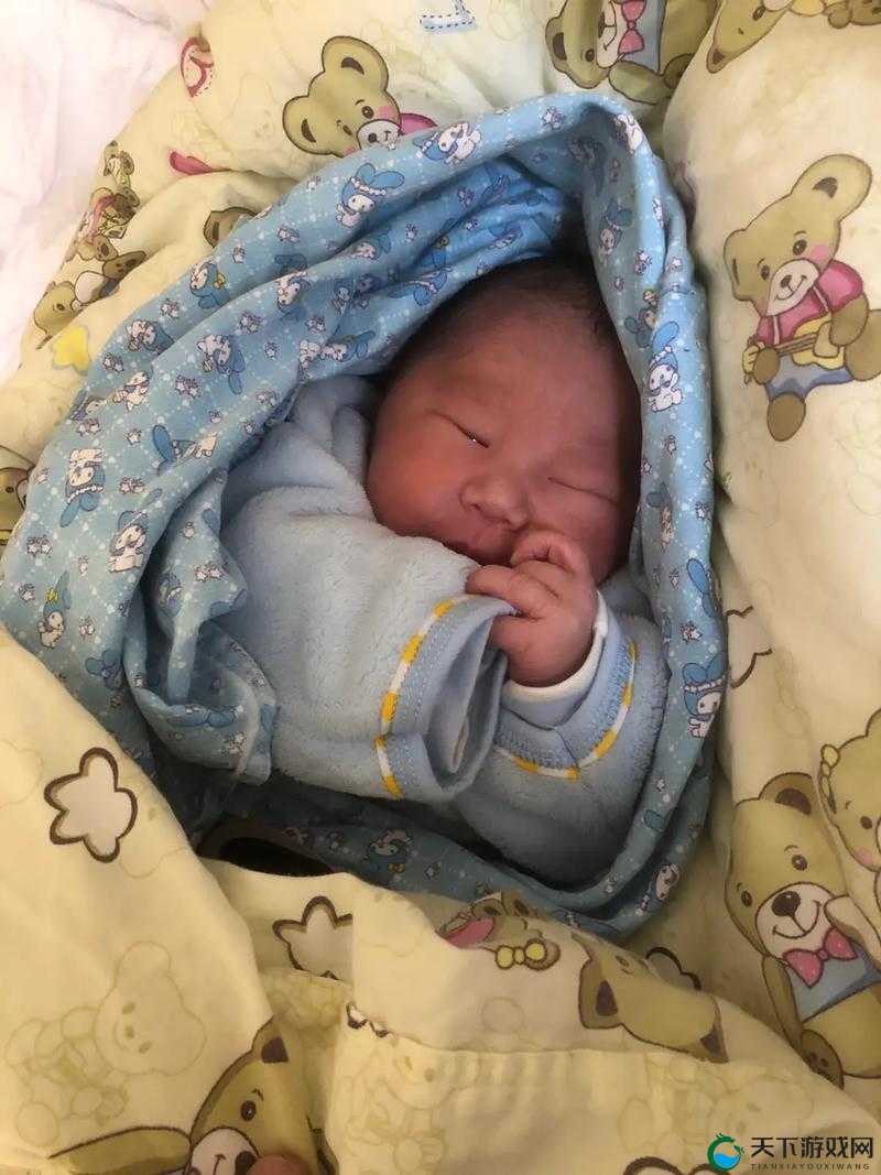 小奶娃灌溉记与普通版对比:别样的精彩呈现