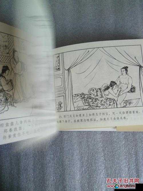 林太太府中逢甘雨原文探寻:揭开神秘面纱