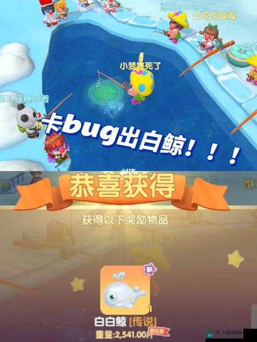 摩尔庄园手游白白鲸冲浪板获取全攻略