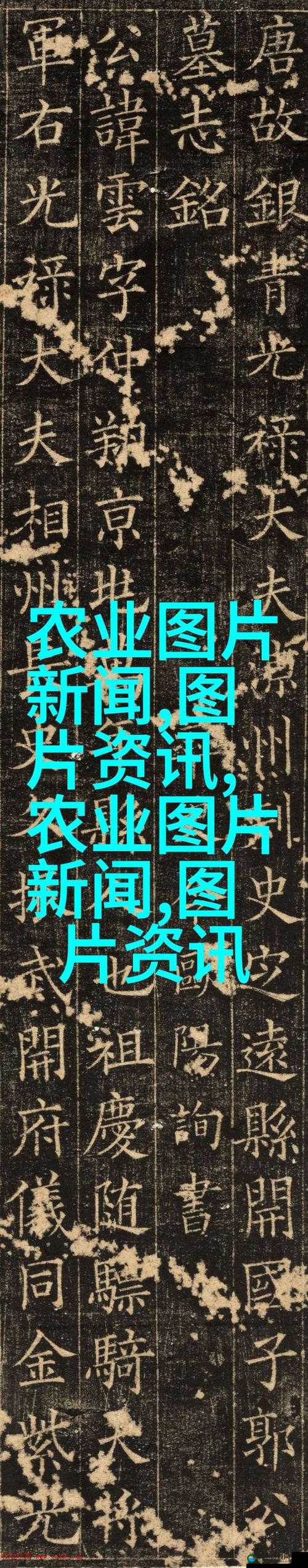 人与鲁交人鲁交人鲁交人鲁交:一段探索未知的奇妙旅程