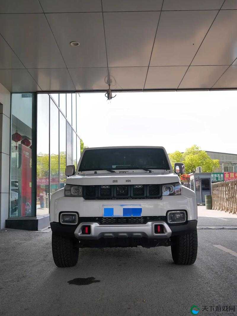 497799 欧洲版的国产 SUV 即将开放:引发市场高度关注与期待