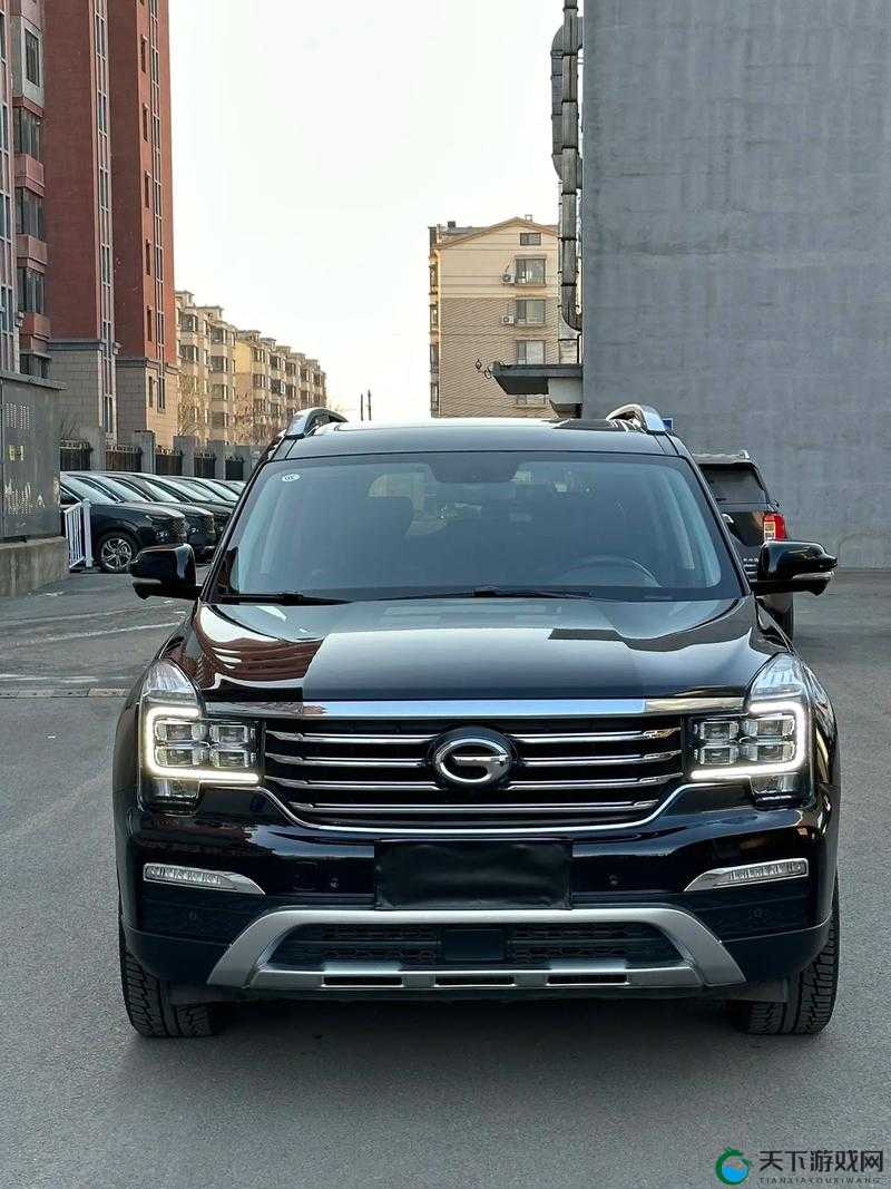 497799 欧洲版国产 SUV,高清的质量超乎想象