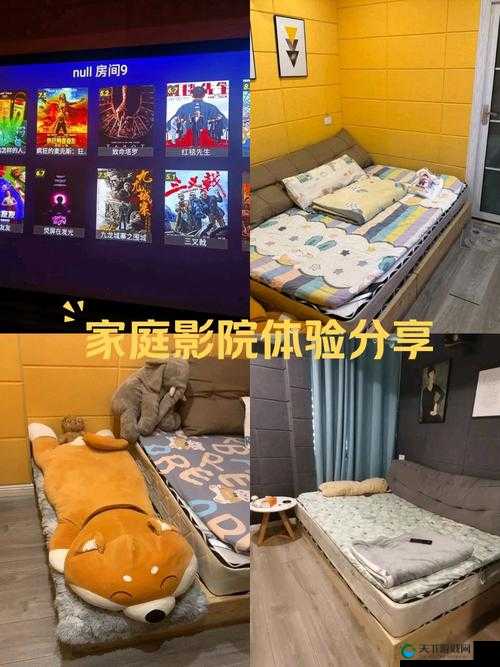 私人家庭影院 3355:超越传统的观影体验
