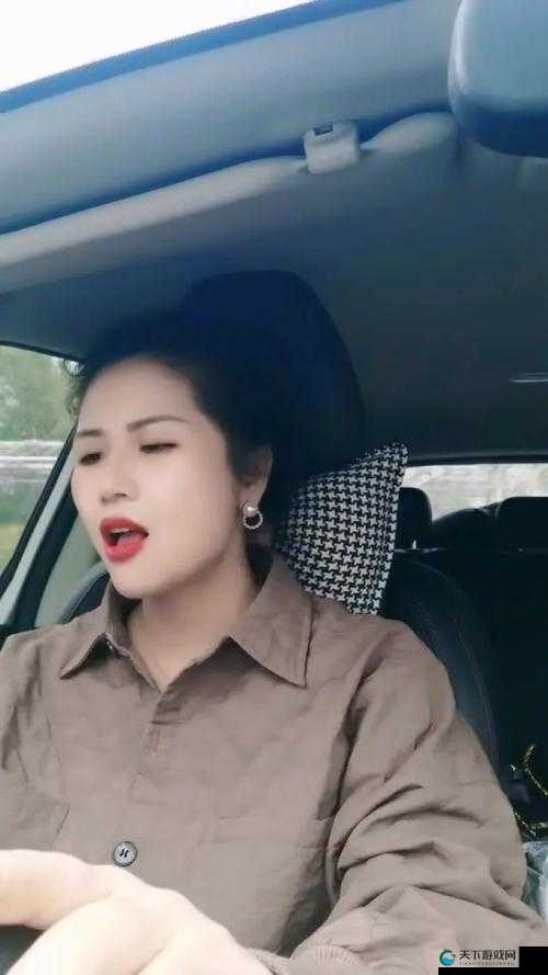 暴躁老阿姨 csgo 图片展示-精彩呈现不容错过