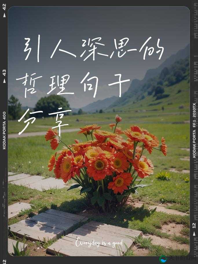 开荤之后金粥:一段引人深思的独特经历之旅