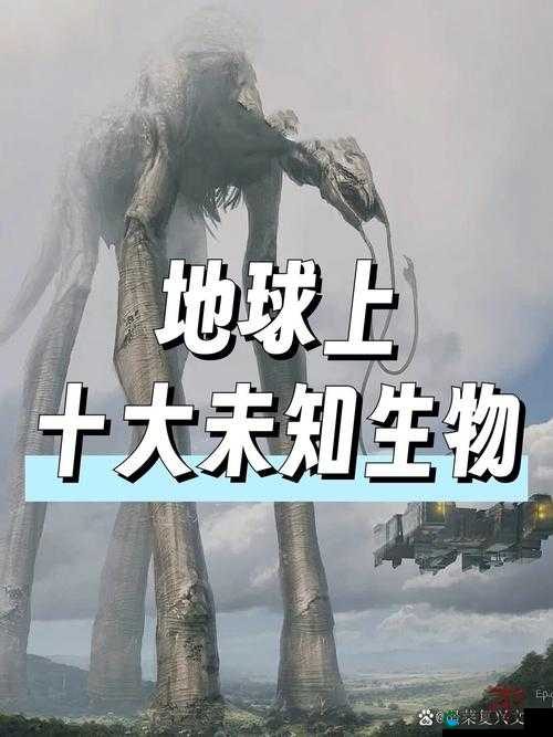 探秘 X7X7X7X7 任意燥:深入剖析其背后的神秘现象与独特魅力