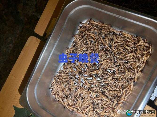 叔叔说我体内有虫子:这究竟是怎么一回事