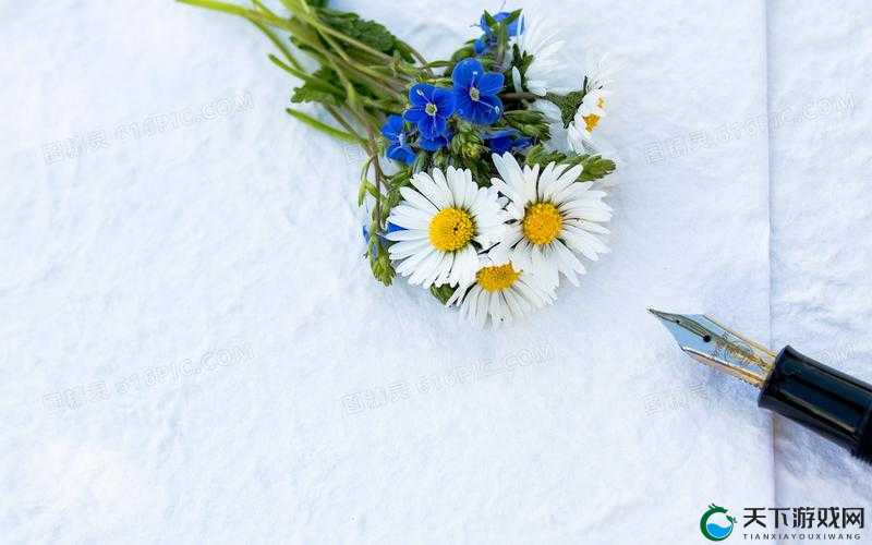 菊花中静静放着一支笔的独特景象