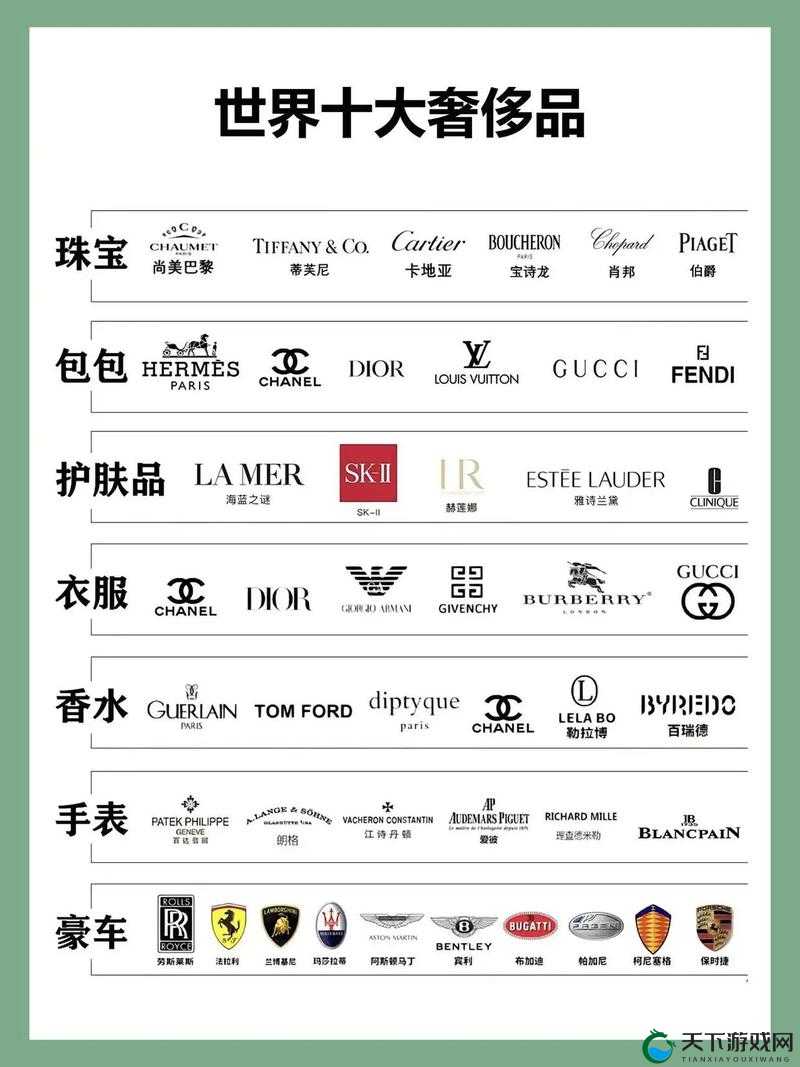 成年人品大全 2024:涵盖全面且实用的优质内容汇总