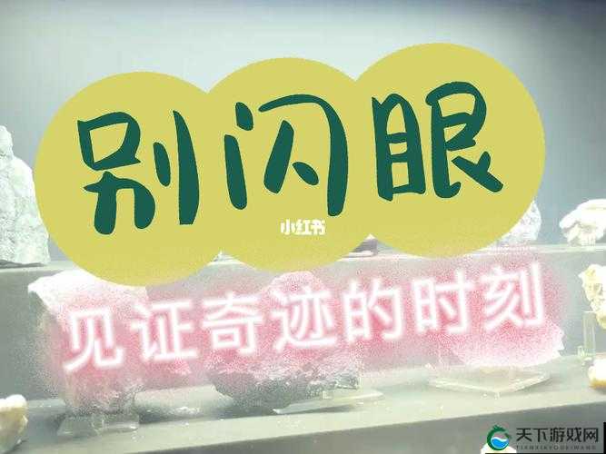 授精记 1-21h 最火的一句:这是一个神奇的过程,见证生命的开始与奇迹