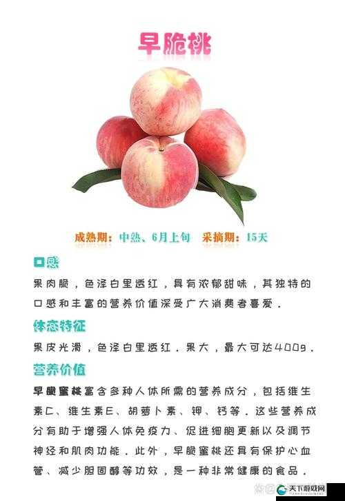 欧产国产蜜桃:探寻两地蜜桃的独特魅力与口感差异
